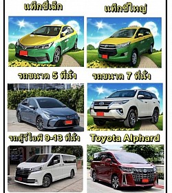 Examples of pictures of small and large taxi services available